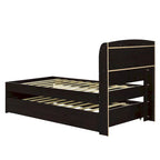 Twin XL Platform Bed with LED Headboard & Drawers