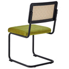 Velvet Upholstered Rattan Dining Chairs Set of 2/4