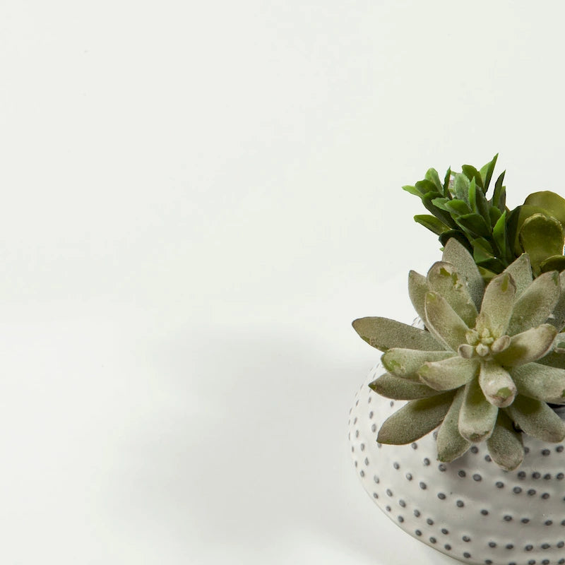 Carson Carrington Bodo 3-drawer Shoe Storage Cabinet