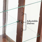 Curio Cabinet Lighted Curio Diapaly Cabinet with Adjustable Shelves