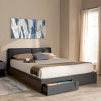 Contemporary Queen Size Platform Storage Bed