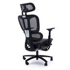Sealy Huxley Ergonomic High-Back Mesh Office Chair with Adjustable Headrest and Armrests
