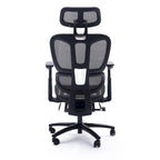 Sealy Huxley Ergonomic High-Back Mesh Office Chair with Adjustable Headrest and Armrests
