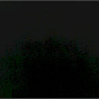 Davidson Beige and Black Upholstered Side Chairs (Set of 2)