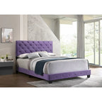 Purple Velvet Platform Bed with Nailhead Trim, Queen Size