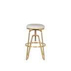 Aimes Metal and Faux Leather Adjustable Backless Stool